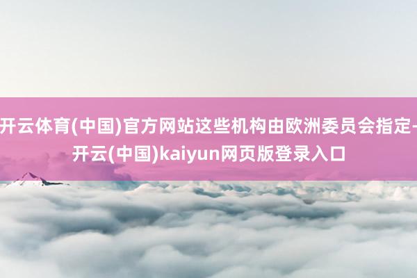 开云体育(中国)官方网站这些机构由欧洲委员会指定-开云(中国)kaiyun网页版登录入口