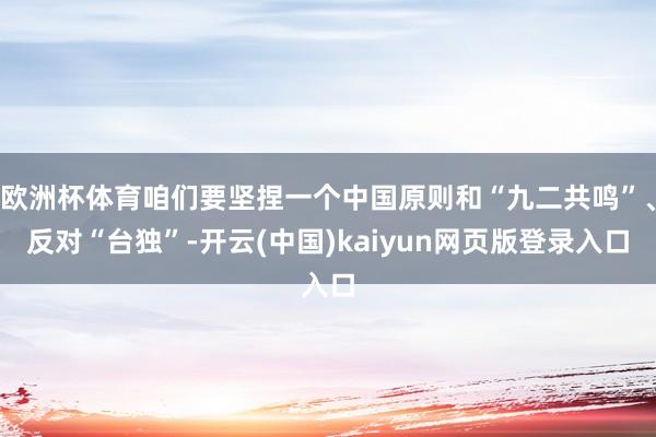 欧洲杯体育咱们要坚捏一个中国原则和“九二共鸣”、反对“台独”-开云(中国)kaiyun网页版登录入口