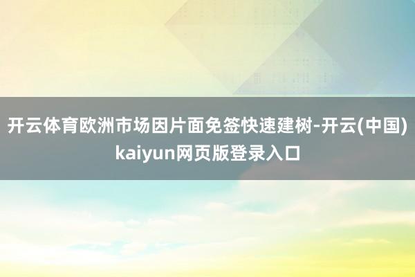 开云体育欧洲市场因片面免签快速建树-开云(中国)kaiyun网页版登录入口