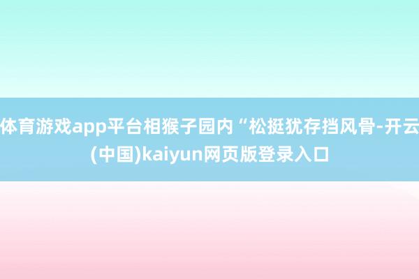 体育游戏app平台相猴子园内“松挺犹存挡风骨-开云(中国)kaiyun网页版登录入口