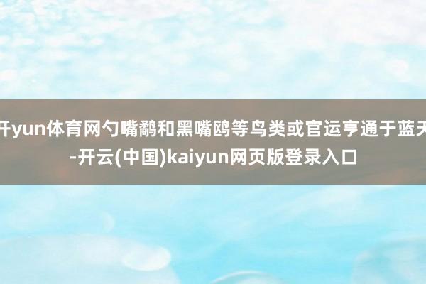开yun体育网勺嘴鹬和黑嘴鸥等鸟类或官运亨通于蓝天-开云(中国)kaiyun网页版登录入口